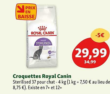 croquettes royal canin