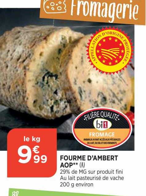 fourme d'ambert aop