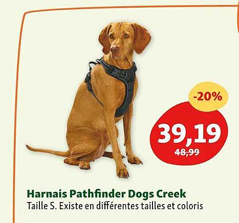 harnais pathfinder dogs creek