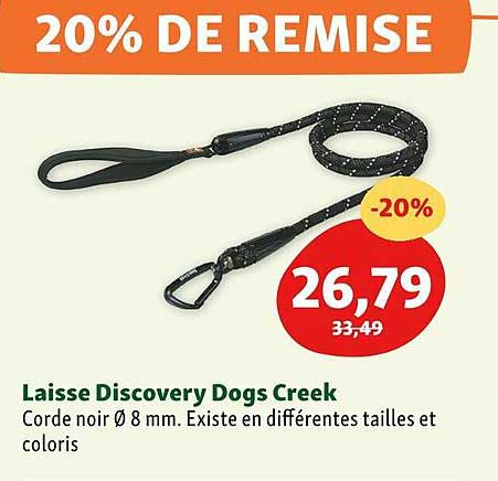 laisse discovery dogs creek