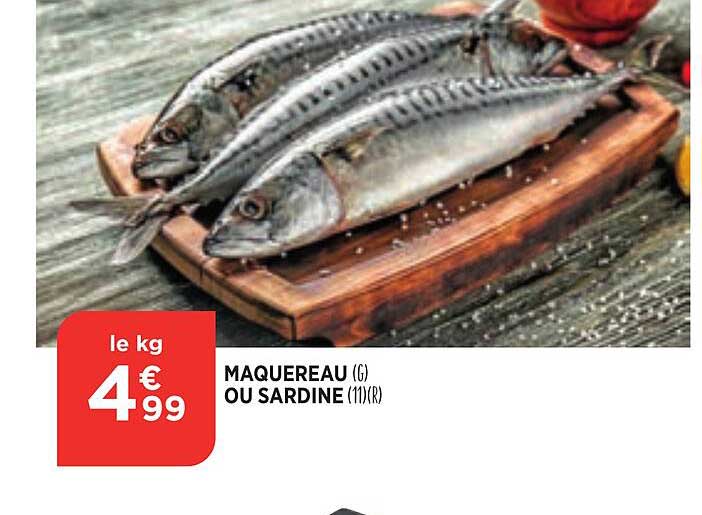 Maquereau Ou Sardine