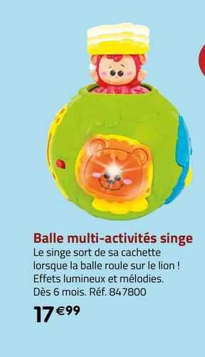 balle multi-activités singe