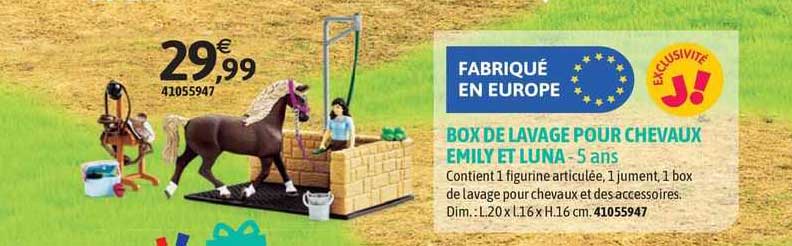 box de lavage pour chevaux emily et luna 5 ans
