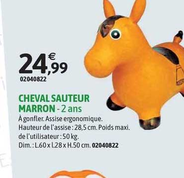 cheval sauteur marron - 2 ans