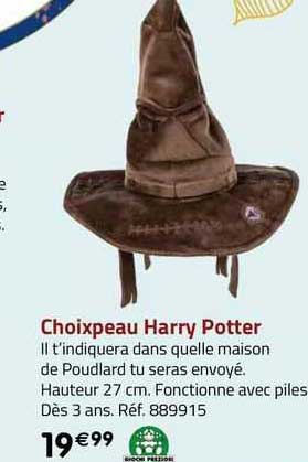 choixpeau harry potter