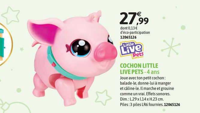 cochon little live pets
