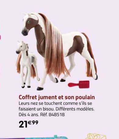 coffret jument et son poulain