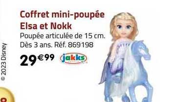 coffret mini-poupée elsa e nokk jakks