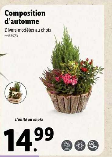 composition d'automne