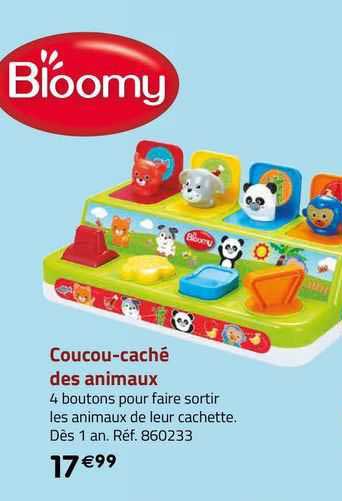 coucou-caché des animaux bloomy