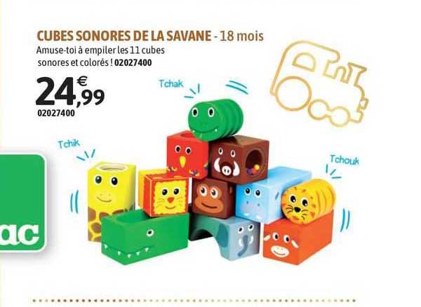 cubes sonores de la savane