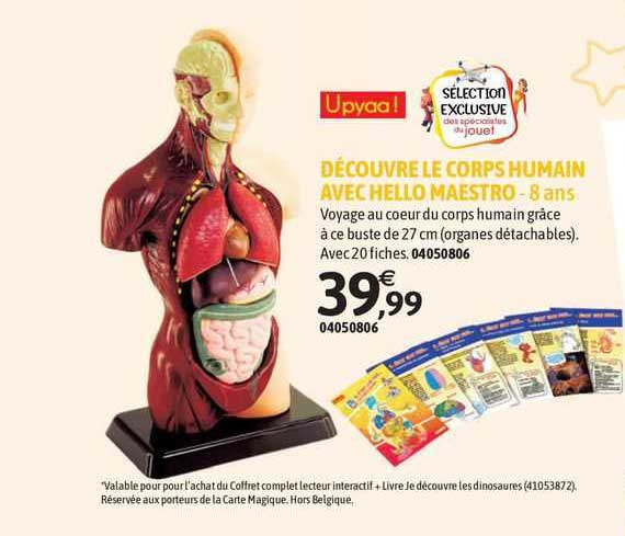 découvre le corps humain avec hello maestro