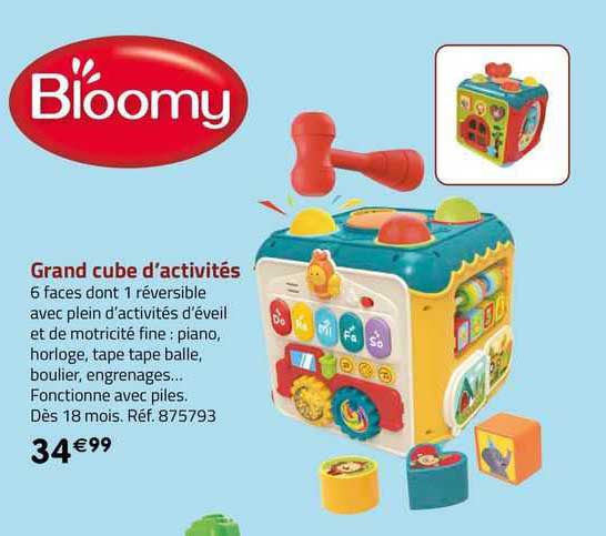 grand cube d'activités bloomy