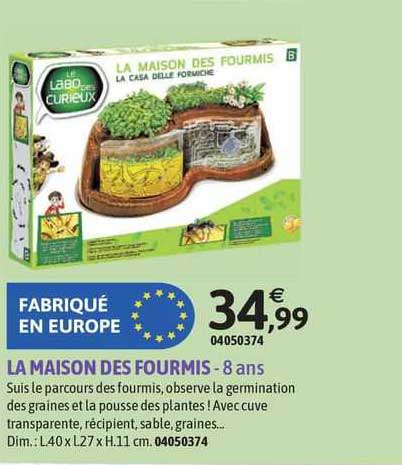 la maison des fourmis