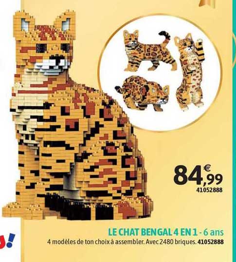 le chat bengal 4 en 1 - 6 ans