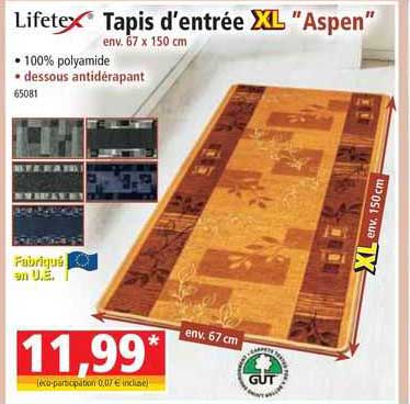 lifetex tapis d'entrée XL "aspen"