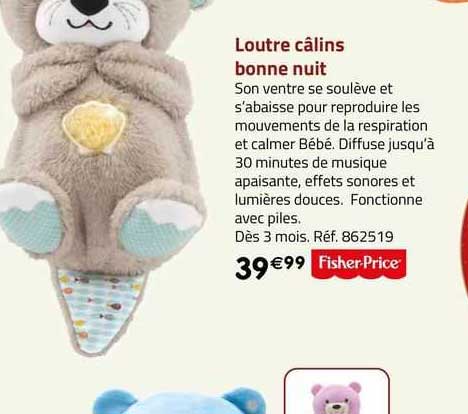 loutre câlins bonne nuit