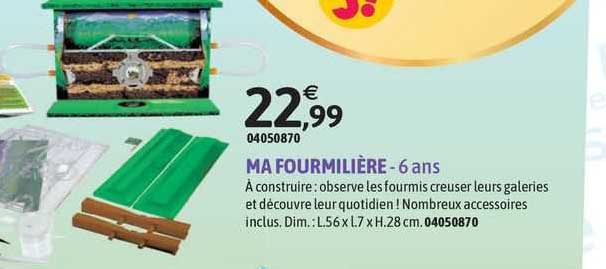 ma fourmilière - 6 ans