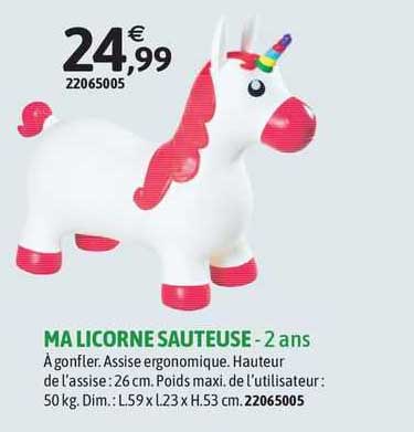 ma licorne sauteuse - 2 ans