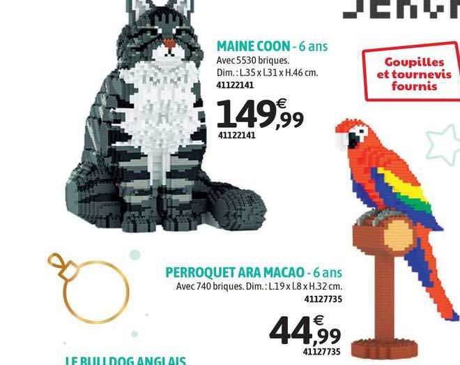 maine coon perroquet ara macao