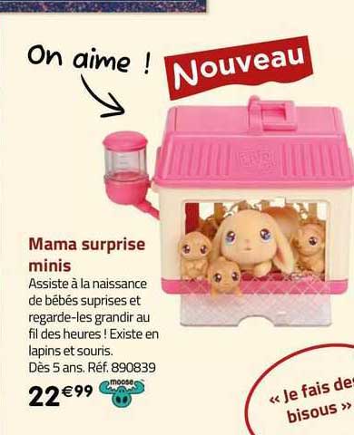 Mama Surprise Minis