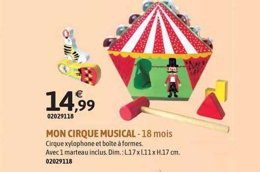 mon cirque musical