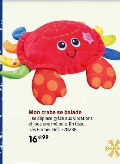 mon crabe se balade
