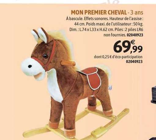 mon premier cheval