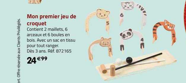 mon premier jeu de croquet
