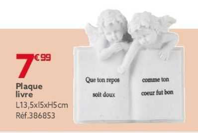 Plaque Livre