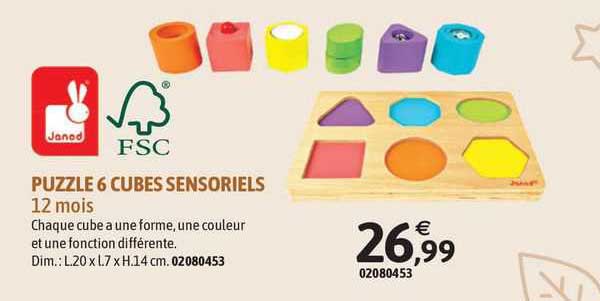 Puzzle 6 Cubes Sensoriels