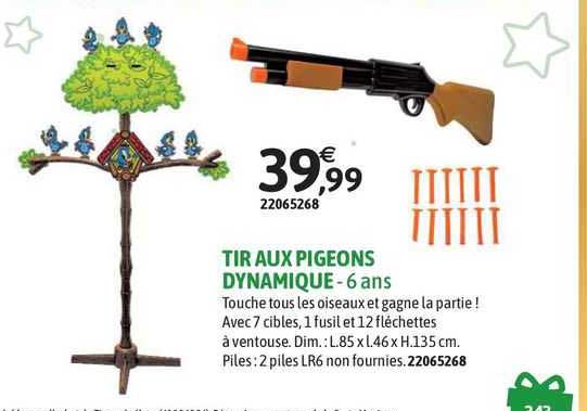 tir aux pigeons dynamique - 6 ans