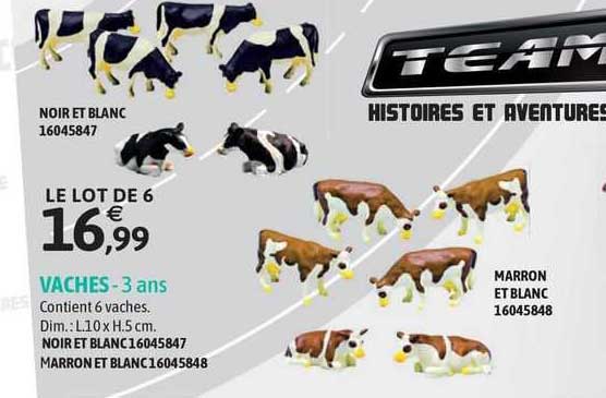 vaches contient 6 vaches