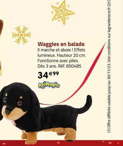 waggles en balade