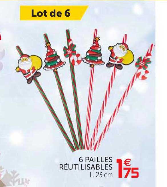 6 Pailles Réutilisables