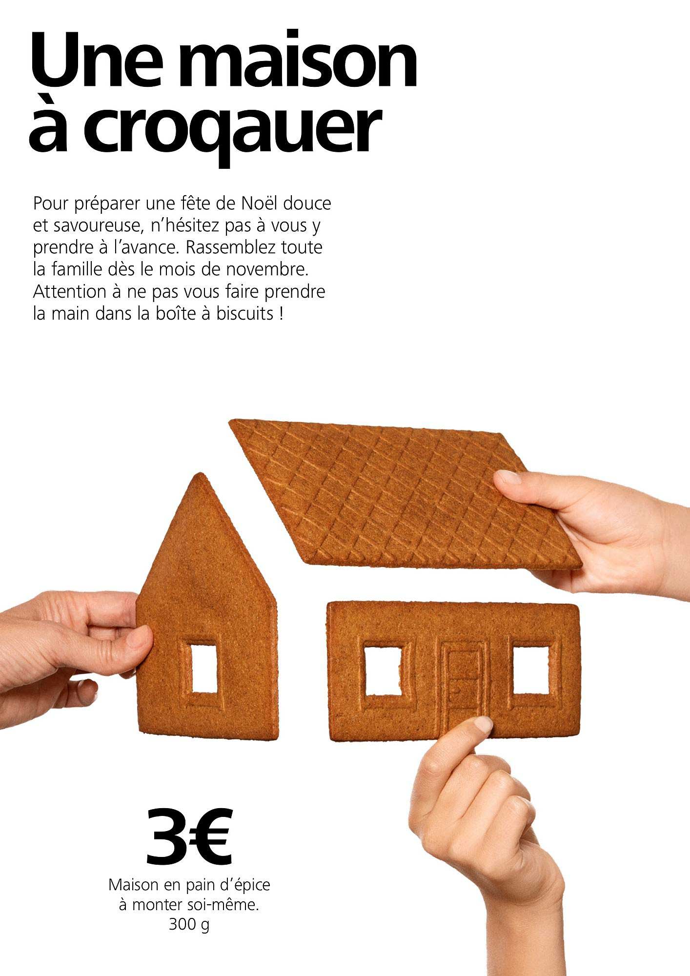 maison en pain d'épice à monter soi même