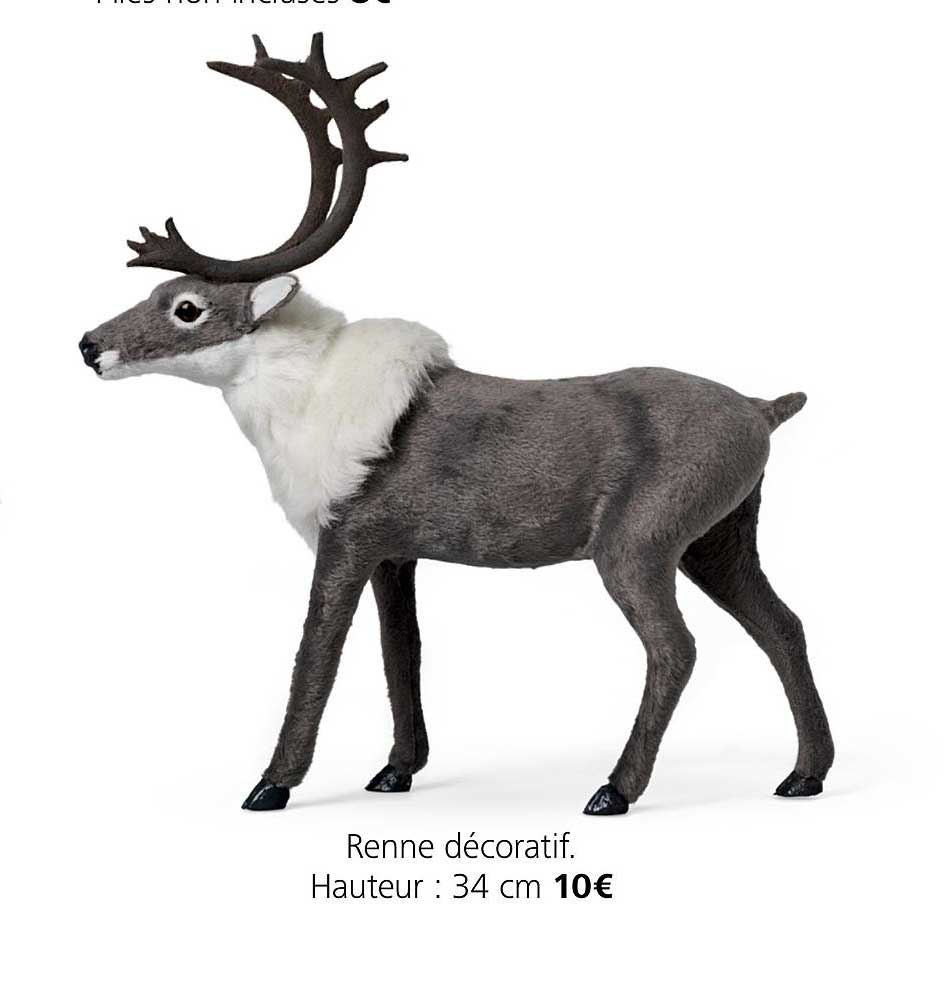 renne décoratif