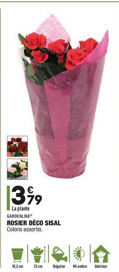 rosier déco sisal gardenline