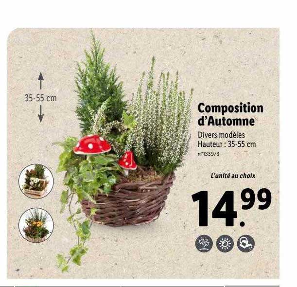 composition d'automne