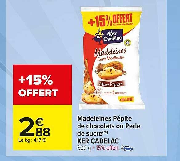 madeleines pépites de chocolats ou perle de sucre ker cadelac