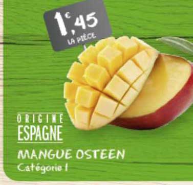 Mangue Osteen