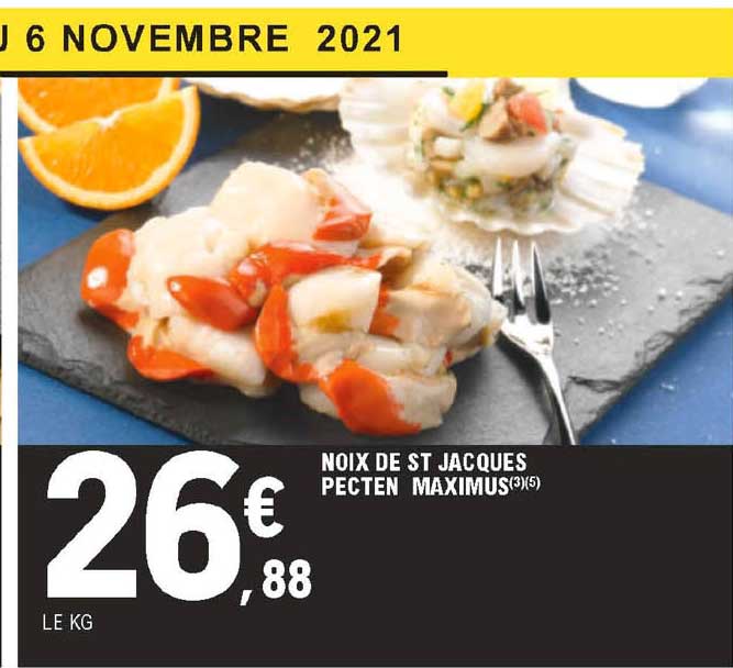 noix de st jacques pecten maximus