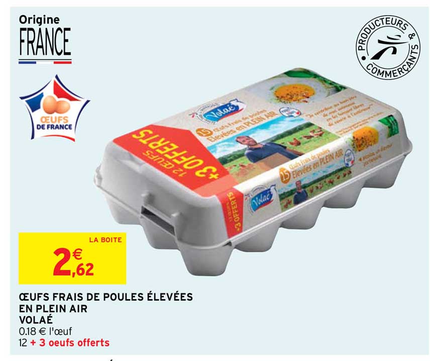 oeufs frais de poules élevées en plein air volaé