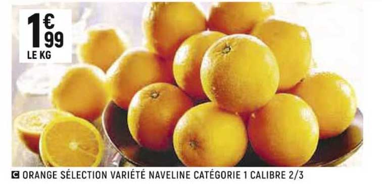 orange sélection variété naveline