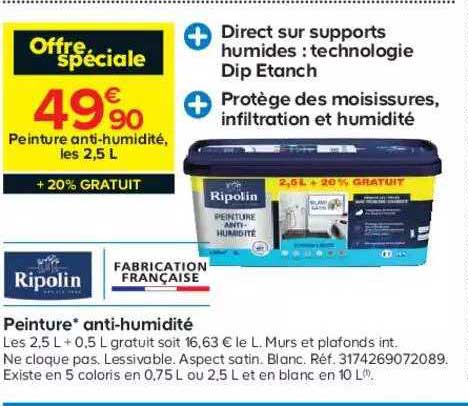 peinture anti-humidité ripolin