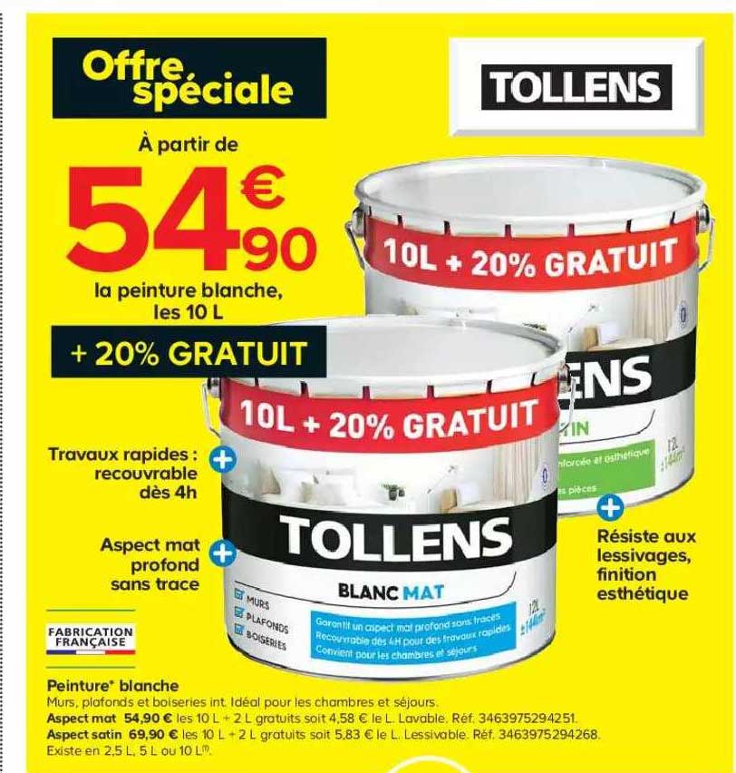 Peinture Blanche Tollens