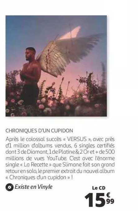 chroniques d'un cupidon