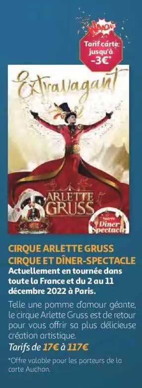cirque arlette gruss cirque et dîner-spéctacle
