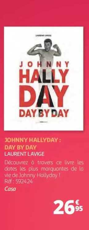 johnny hallyday : day by day - laurent lavige