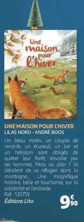 une maison pour l'hiver - lilas nord - andré boos